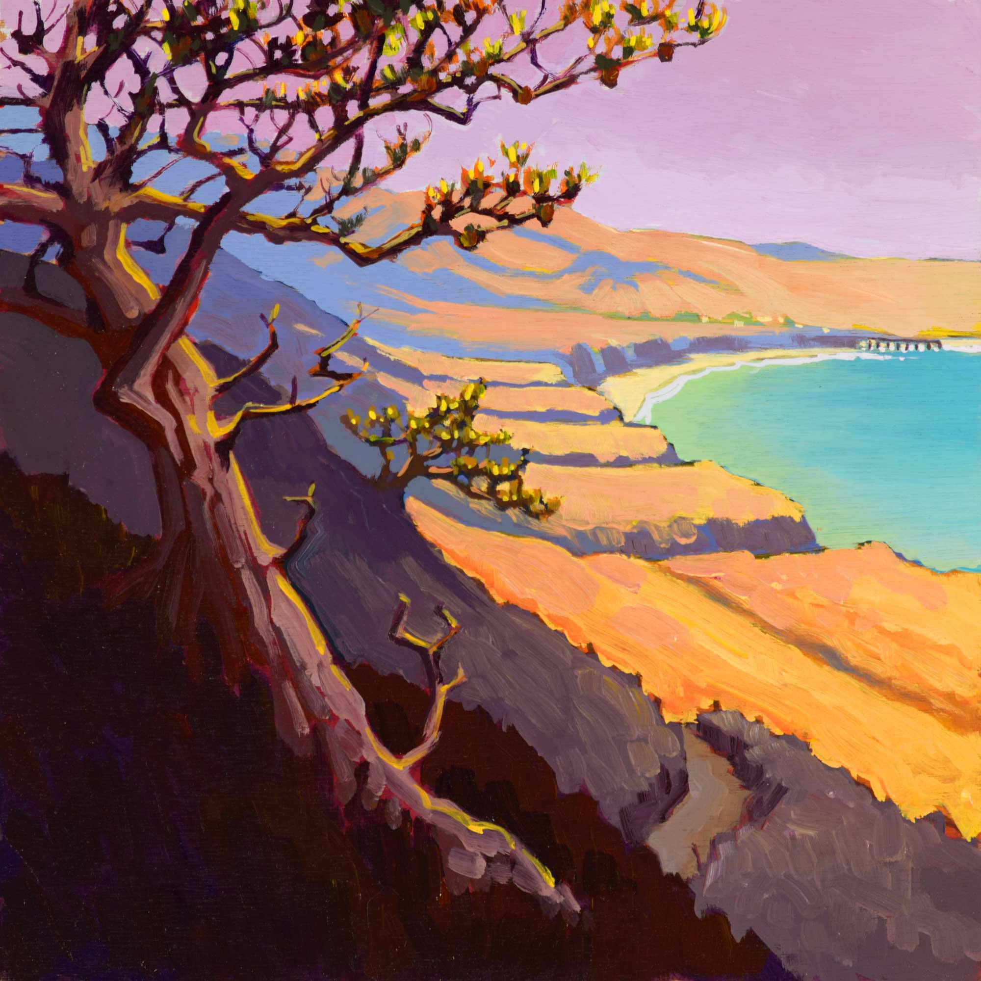 Plein air artwork of a torrey pine tree over Becher's Bay on Santa Rosa island off the coast of southern California