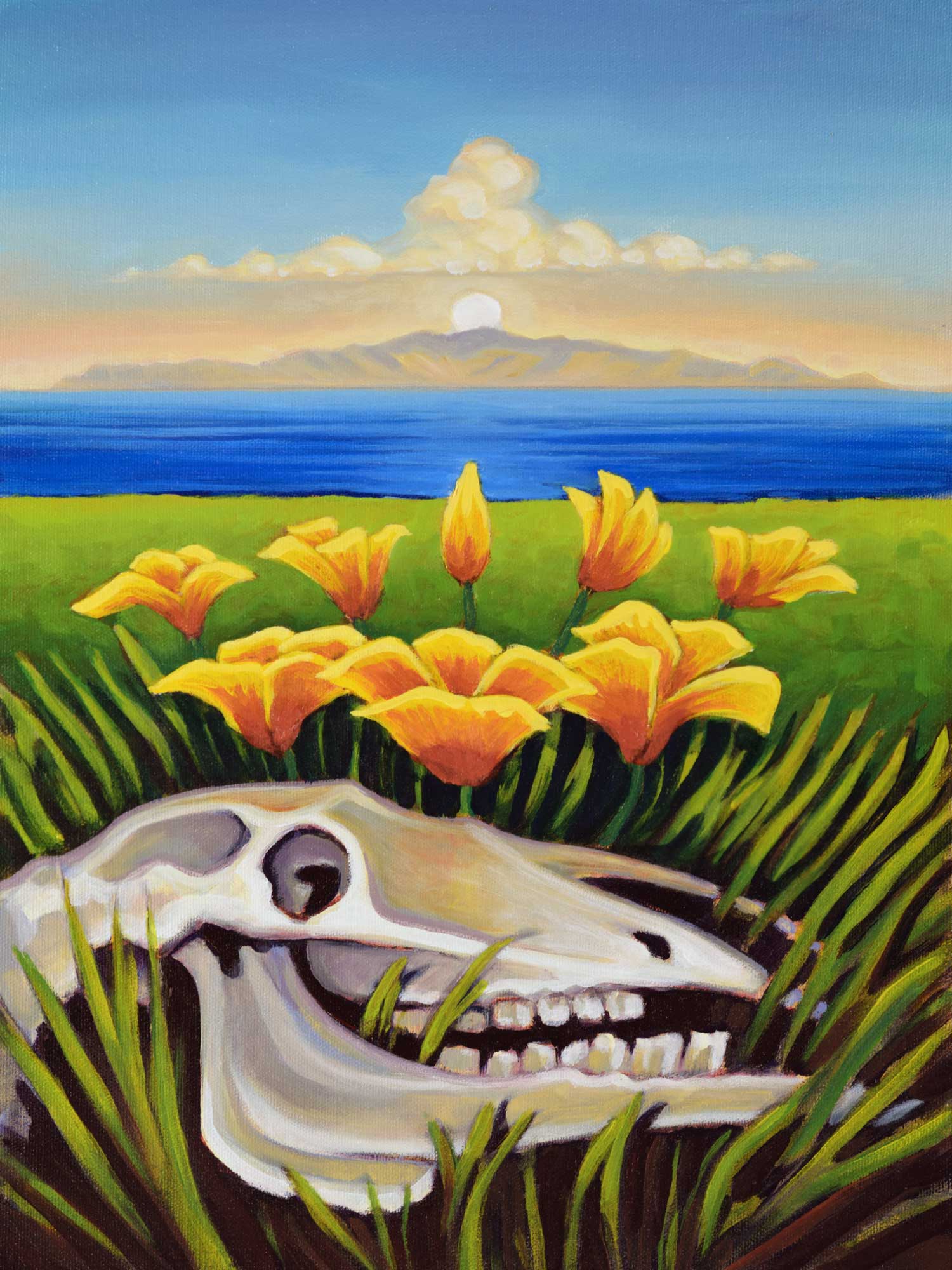 Plein air painting of an Island Poppy and a cow skull on Santa Rosa island looking toward Santa Cruz Channel Islands