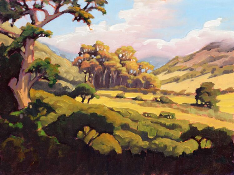 A Plein air painting of the central valley of Santa Cruz one of the Channel Islands off the coast of California